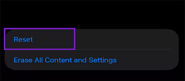 Opt for the Reset option