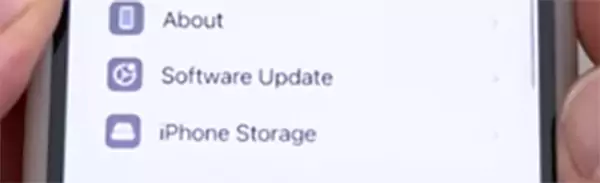 Go to General and Click Software Updates
