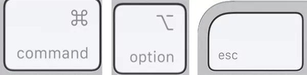 Press Command plus Option plus Escape
