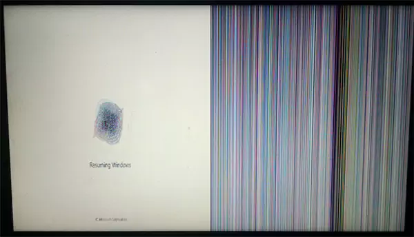 black vertical lines on monitor