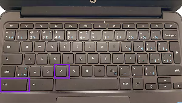 copy shortcut key Ctrl C