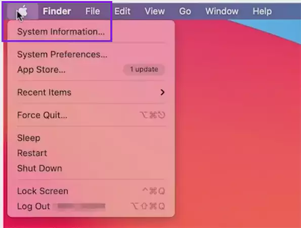 Click on Apple Menu and select System Information