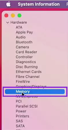 Click on Memory from the Hardware menu