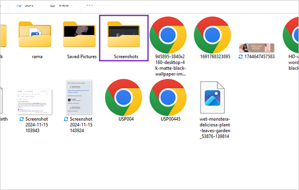 Click on the Screenshot