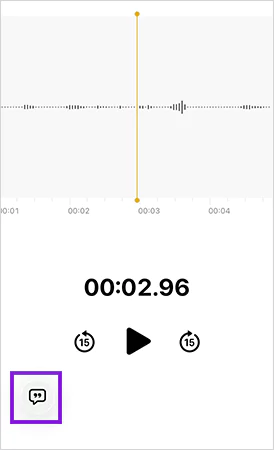 For voice to text transcription tap on the name of the recording and then select the transcript option