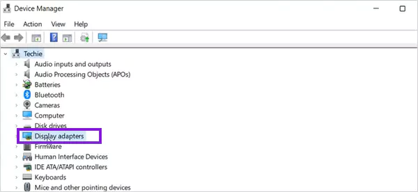 Select Display Adapters