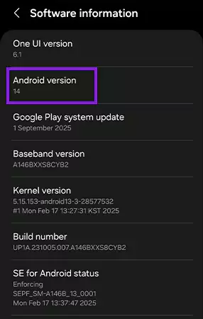 You Can See the Android Version