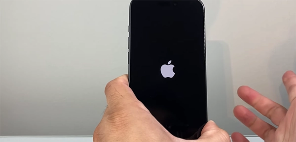 Apple Logo