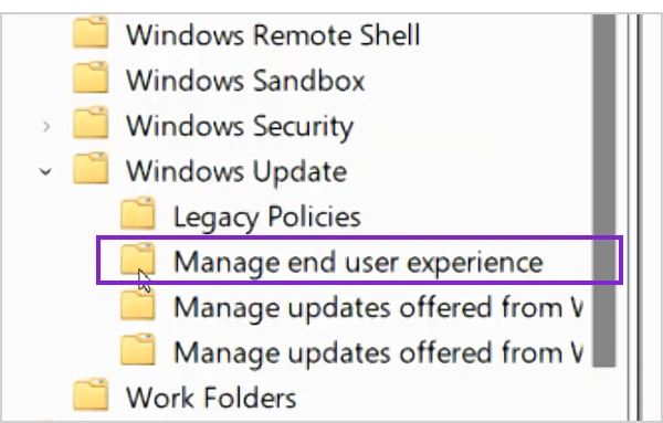 Manage End User Experience folder in Group Policy Editor