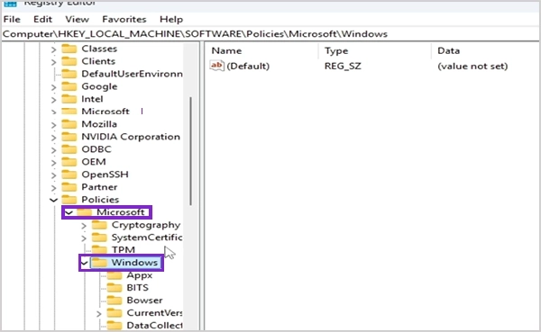 MicrosoftWindows