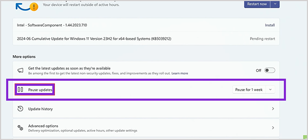 Pause update and select duration