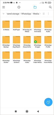 WhatsApp media files