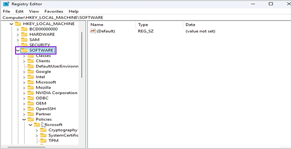 software tab