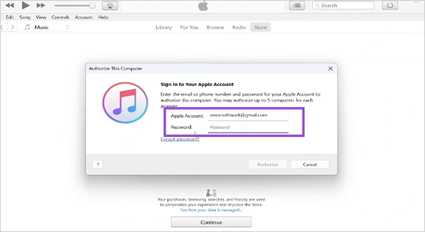 iTunes log-in