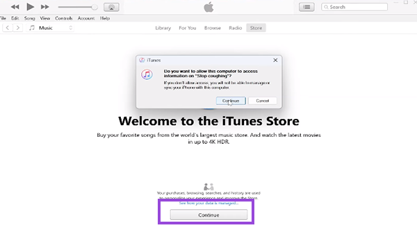 iTunes permission enable