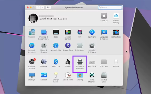 Click on Printers and Scanner