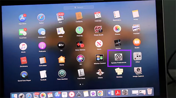 Select System Preferences