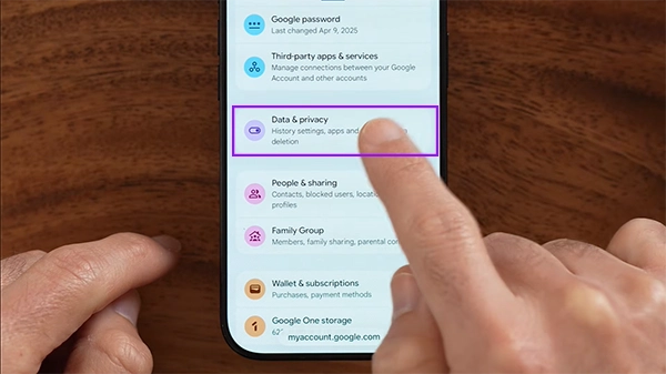 Select the Data and Privacy option